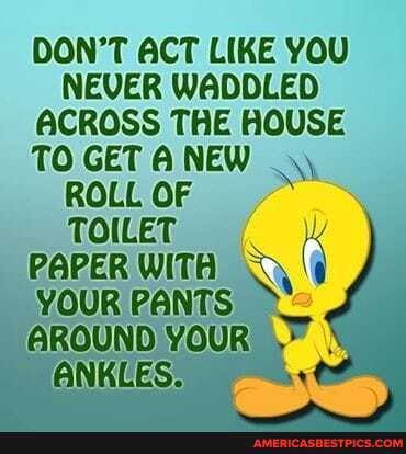 DON'T ACT LIKE YOU NEVER WADDLED ACROSS THE HOUSE
TO GET NEW ROLL OF TOILET
PAPER WITH
YOUR PANTS
AROUND YOUR
ANKLES: