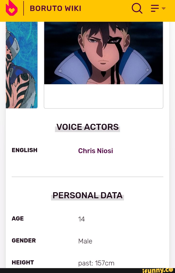 Boruto, Wiki