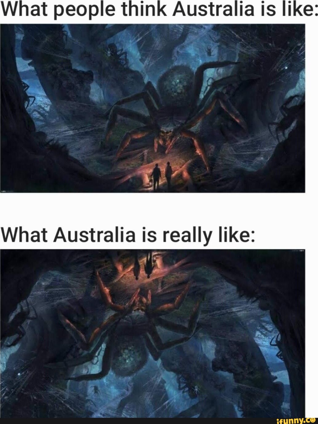 What people think Australia is like What Australia is really like: - iFunny