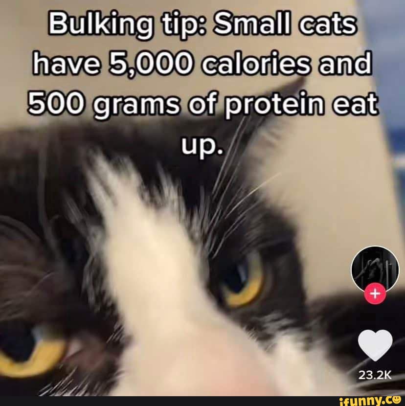 IAM OFFICIALLY ON BREAK , On your way to the airport? Not yet 43 I