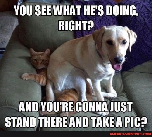 YOU SEE WHAT HE'S DOING,
RIGHT?
AND YOU'RE GONNA JUST STAND THERE AND TAKE A Pic?