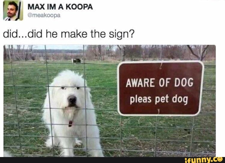 I MAX IM meakoopa KOOPA
did...did he make the sign?
AWARE OF DOG pleas pet dog