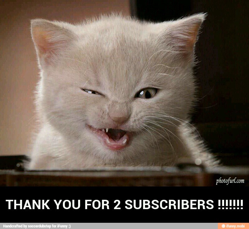 THANK YOU FOR 2 SUBSCRIBERS !!!!!!!