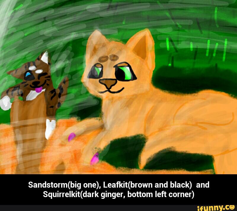Sandstorm(big one), Leafldt(brown and black) and
Squirrelkit(dark ginger, bottom left comer) - Sandstorm(big one), Leafkit(brown and black) and Squirrelkit(dark ginger, bottom left corner)