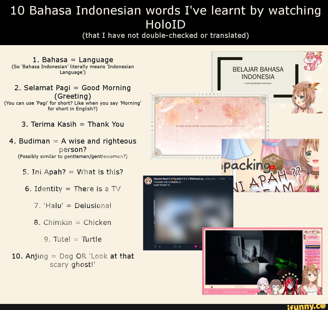 Pagi memes. Best Collection of funny Pagi pictures on iFunny