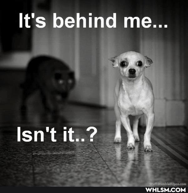 lt's behind me...
Isn't it..?