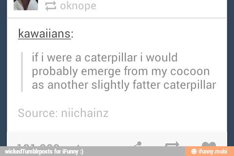 kawaiians:
if i were a caterpillar i would
probably emerge from my cocoon
as another slightly fatter caterpillar