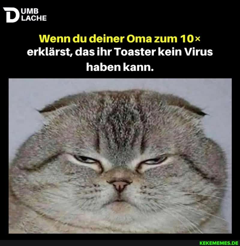 UMB LACHE
Wenn du deiner Oma zum erklärst, das ihr Toaster kein Virus
haben kann.