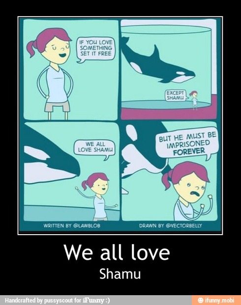 love
Shamu
We all - We all love
Shamu