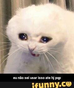 eu não sei usar isso ate hj pqp