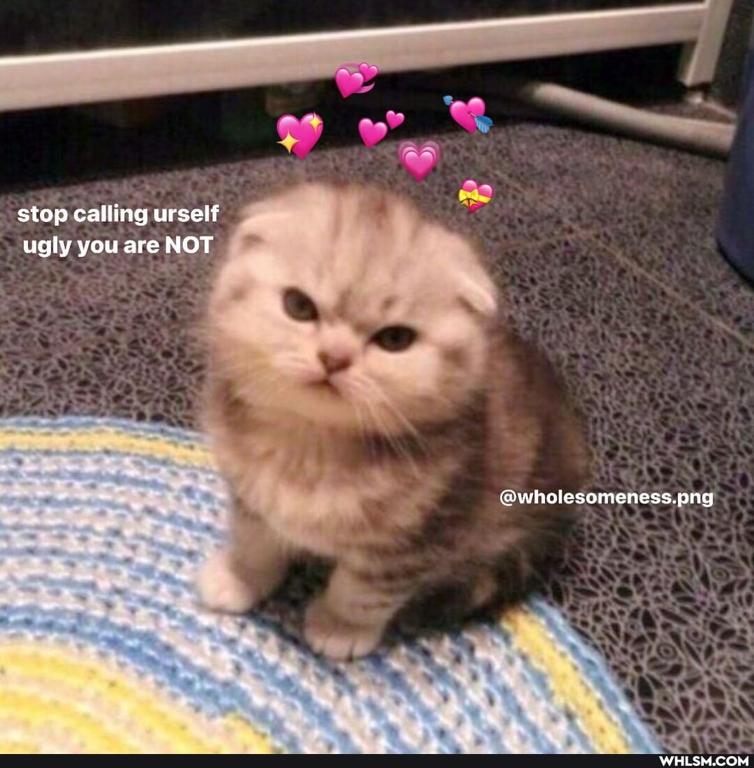 stop calling urself ugly you are NOT
@wholesomeness.png