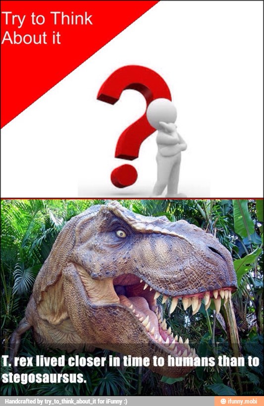 Try to Think
About it
E
T. rex lived closer in time to
húñians than to
stegosaursus.