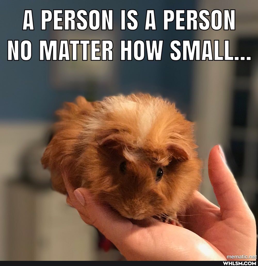 A PERSON IS A PERSON NO MATTER HOW SMALL...