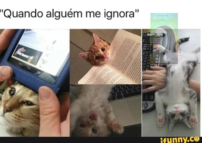 'Quando alguém me ignora"