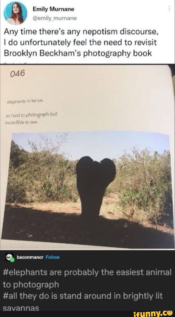 Emily Murnane emily _murnane Any time there's any nepotism discourse, I do unfortunately feel the need to revisit Brooklyn Beckham's photography book 046 baconmaner #elephants are probably the easiest animal to photograph #all they do is stand around in brightly lit