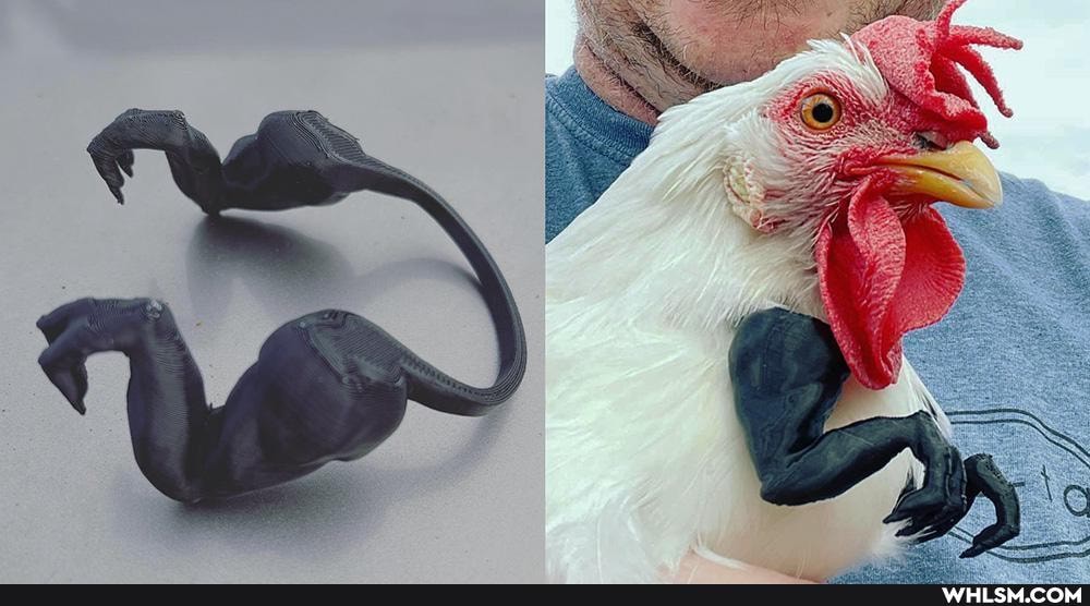 wtf