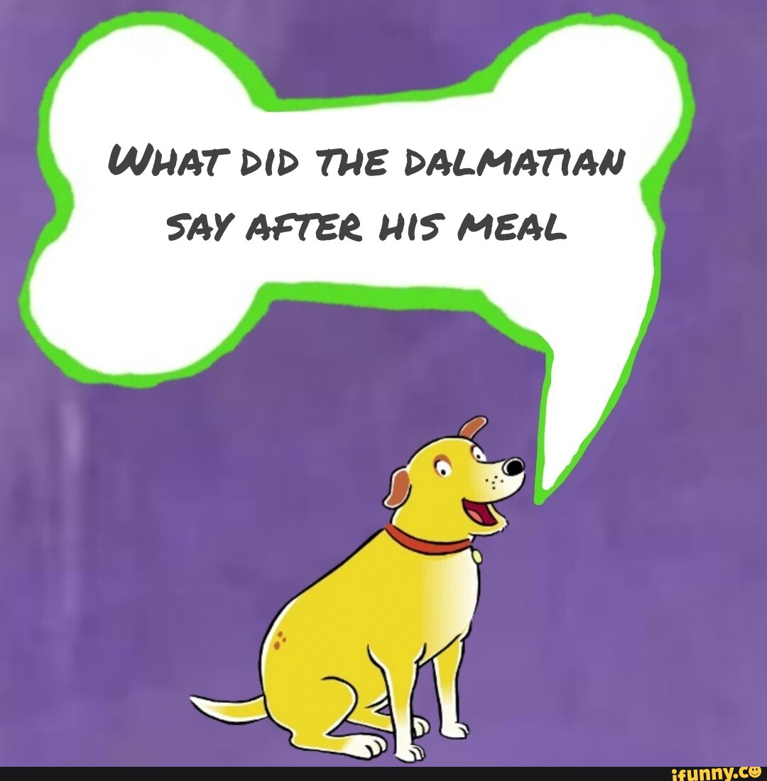 WHAT DID THE DALMATIAN SAY AFTER HIS MEAL )