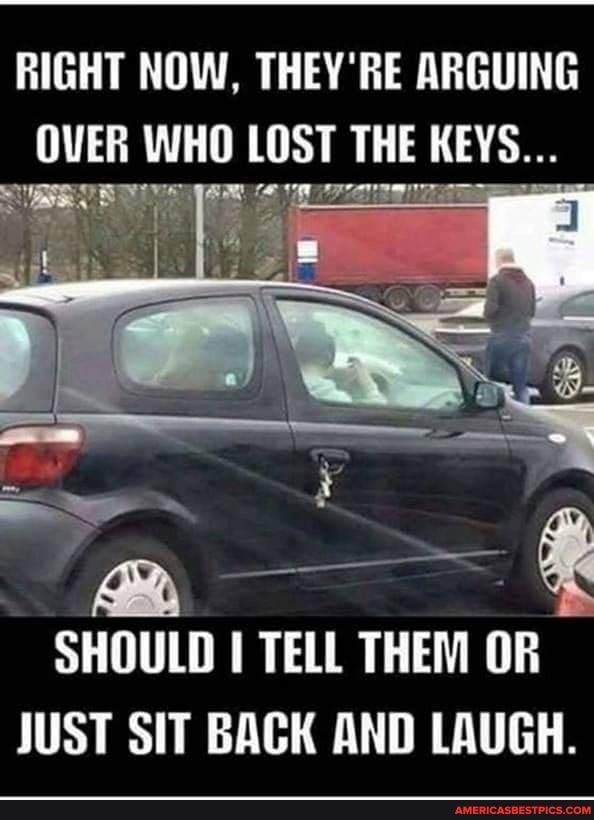 RIGHT NOW, THEY RE ARGUING OVER WHO LOST THE KEYS...
SHOULD TELL THEM OF JUST SIT BACK AND LAUGH.