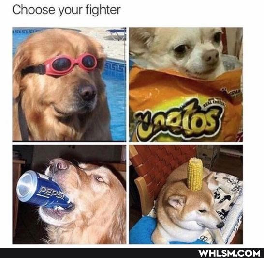 Choose your fighter