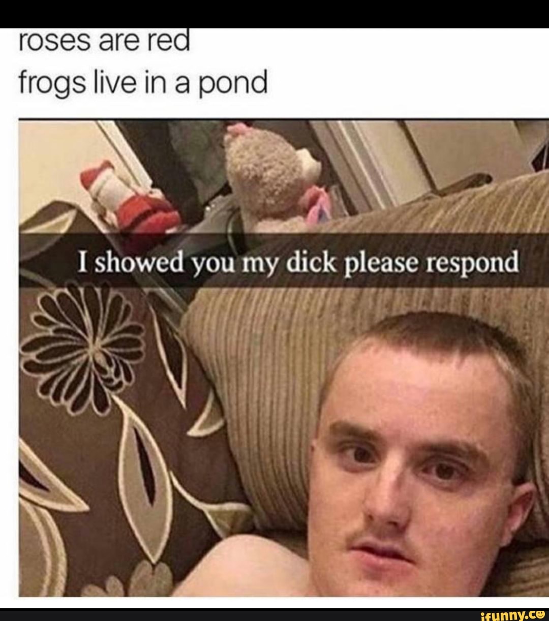 Roses Are Rec Frogs Live In A Pond I Showed You My Dick Please Respond Ifunny 2372