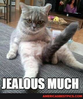 JEALOUS MUCH