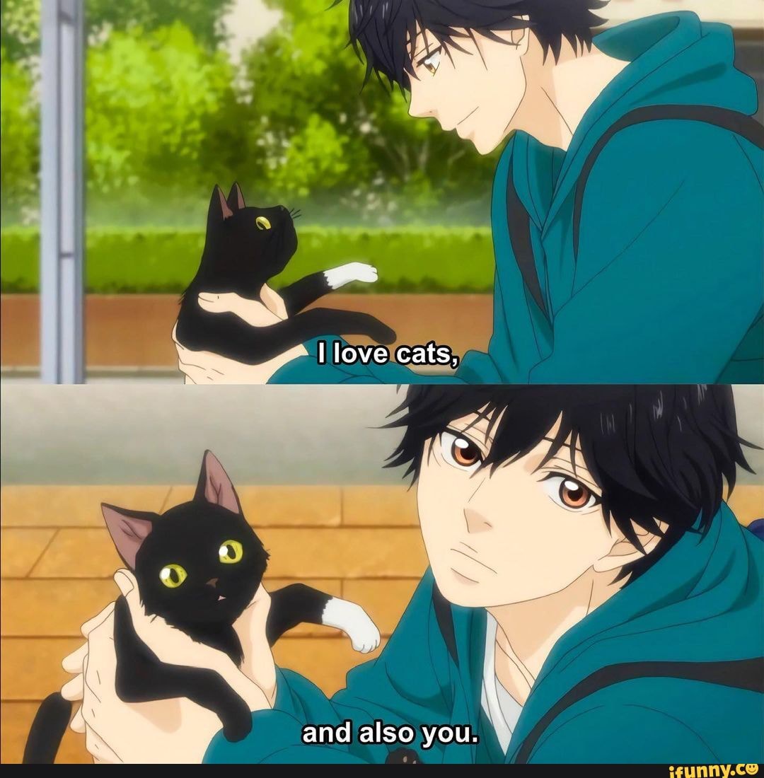 Anime : Ao Haru Ride - I love cats, and also you. - iFunny