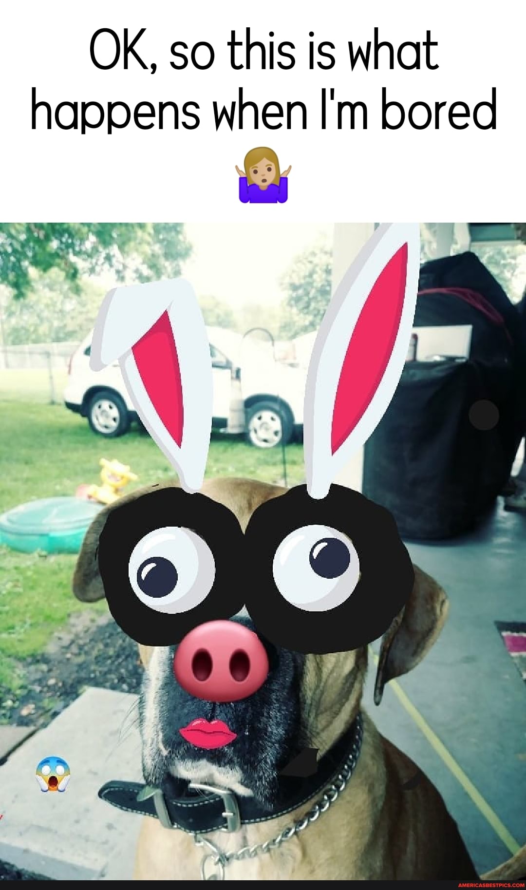 OK, so this is what happens when I'm bored