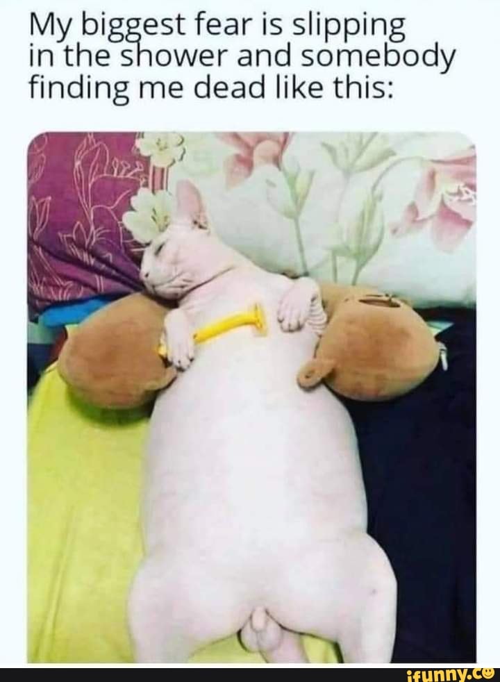 My biggest fear is slipping in the shower and somebody finding me dead