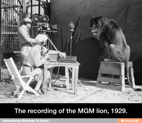 The recording of the MGM lion, 1929. - The recording of the MGM lion, 1929.