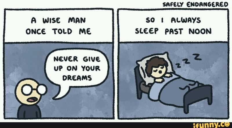 SAFELY ENDANGERED
A WISE MAN so ALWAYS ONCE TOLD ME SLEEP PAST NOON
NEVER GIVE uP ON YOUR OREAMS