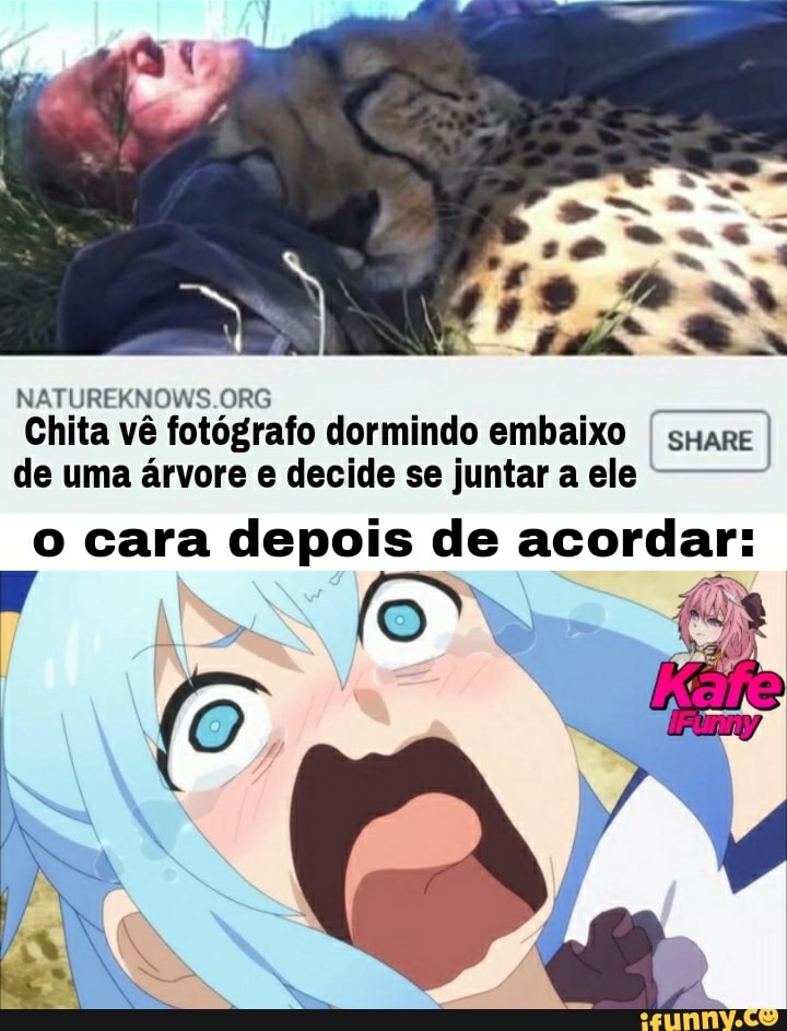 ORG
Chita vê fotógrafo dormindo embaixo I smare I
de uma árvore e decide se juntar a ele o cara depois de acordar: