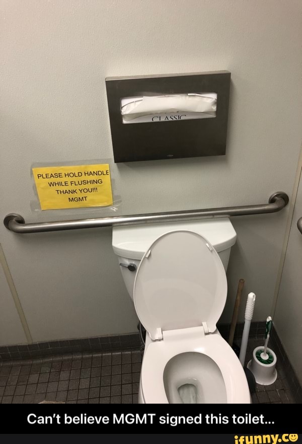 PLEASE HOLD HANDLE WHILE FLUSHING THANK YOU!!! GMT Can't believe MGMT ...