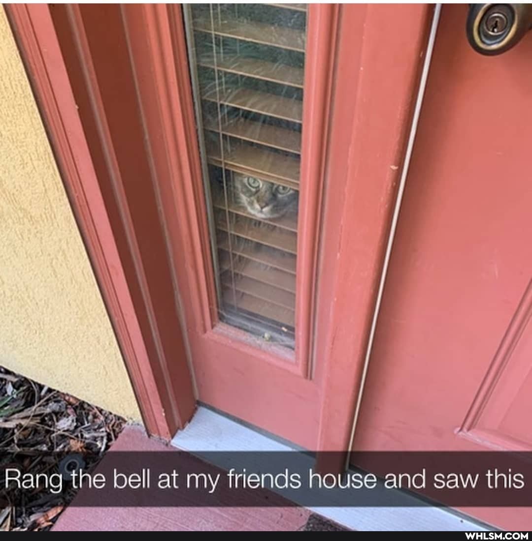 Rang the bell at my friends house and saw this