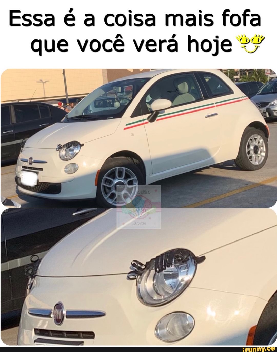 Essa é a coisa mais fofa
que você verá hoje "7