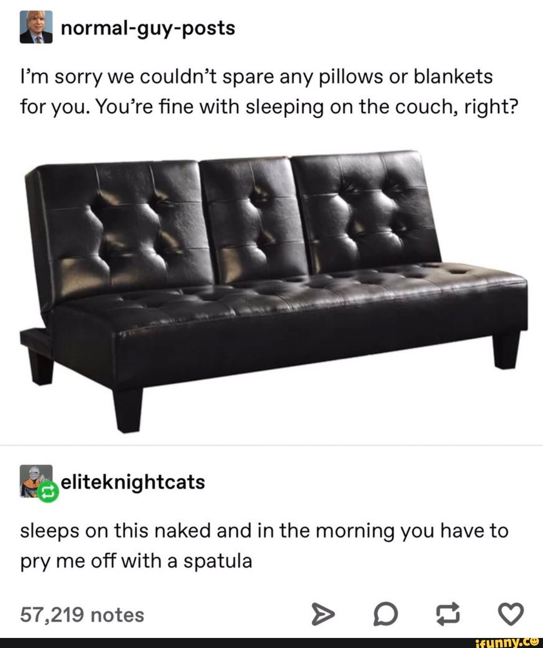 normal-guy-posts
I'm sorry we couldn't spare any pillows or blankets for you. You're fine with sleeping on the couch, right?
eliteknightcats
sleeps on this naked and in the morning you have to pry me off with a spatula
57,219 notes > O QY