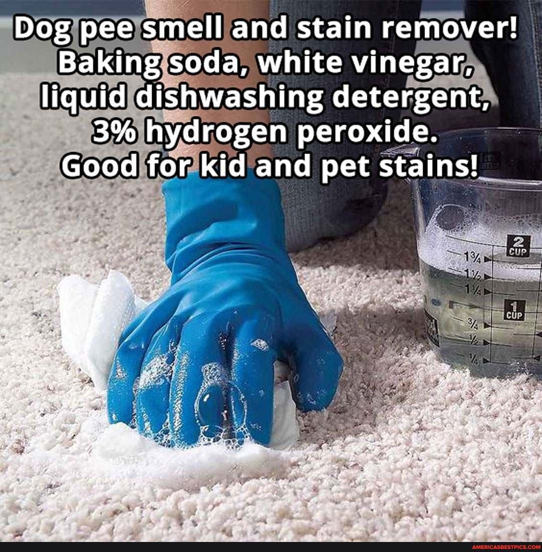 hydrogen peroxide dog pee