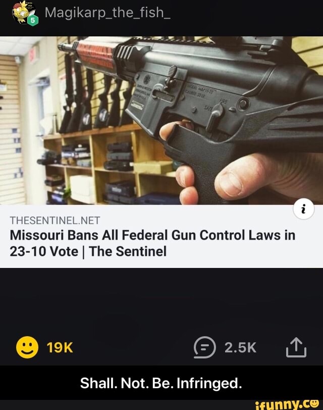 THESEHTIHEL NET Missouri Bans All Federal Gun Control Laws in 2310