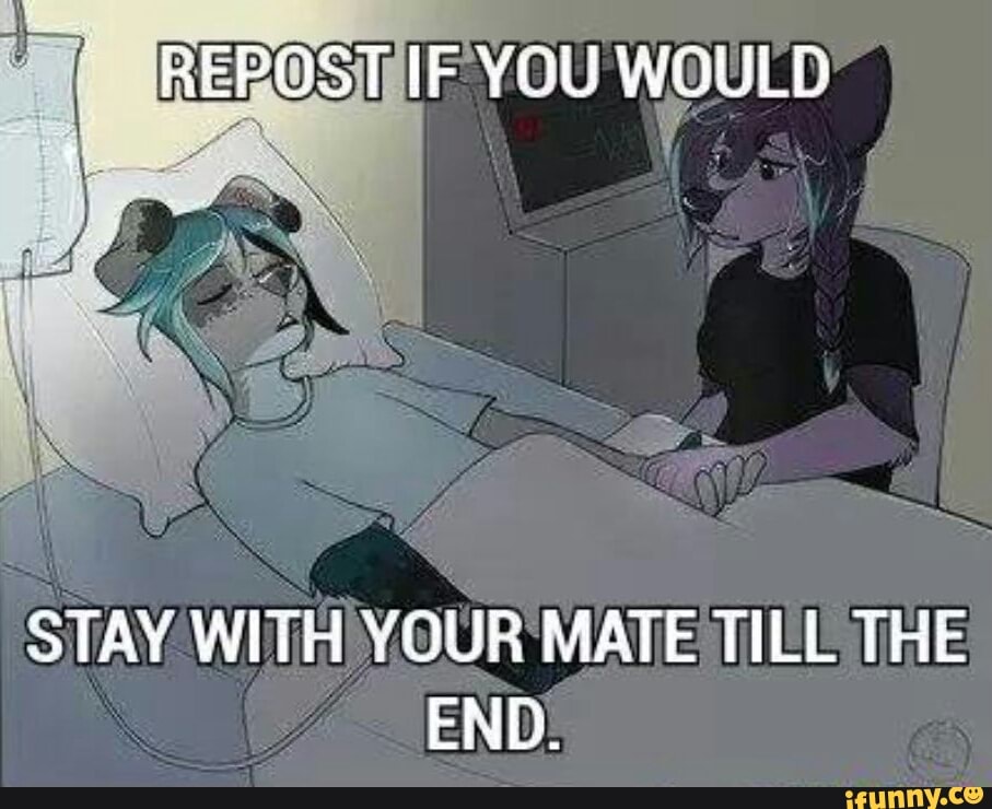 Repost ifyou would stay with your mate till the end. 