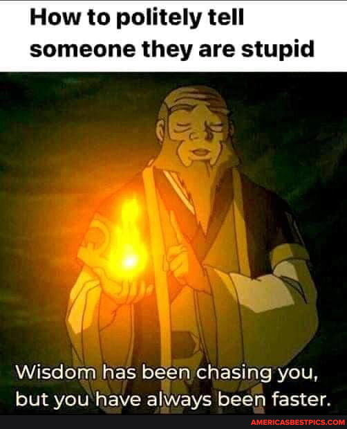 Wisdom Is Chasing You But You Are Faster Origin How to politely tell someone they are stupid Wisdom has been chasing