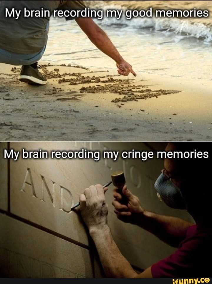My brain recording my good memories
My brain recording my cringe memories