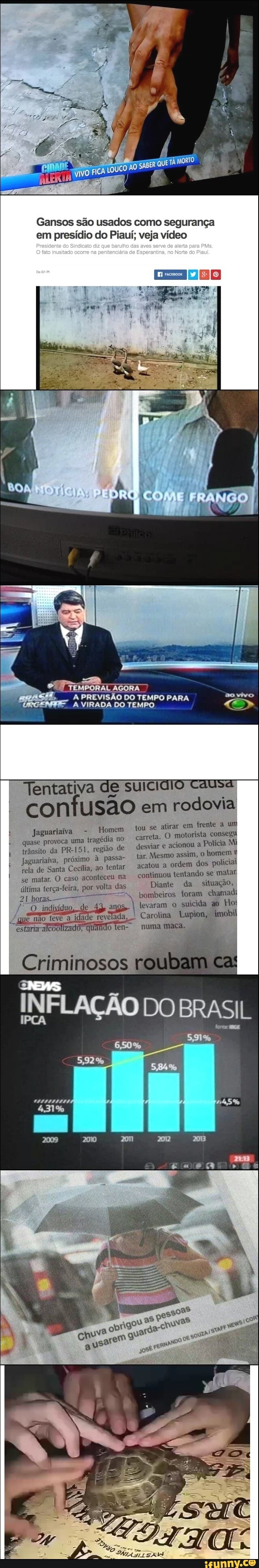 Gansos são usados como segurança em presídio do Piauí; veja vídeo
A PREVISÃO DO A VIRADA DO PREVISÃO TEMI PARA
Tentativa de sulciaro Causa confusão em rodovia
Homem tou se atirar em frente a um
Jaguariaíva - Homem carreta. O motorista consegu
quase provoca uma tragédia no trânsito da PR-151, região de desviar acionou a Polícia Mi
Jaguariaíva, rela de próximo Santa Cecília, à ao passa- tentar tar. Mesmo acatou assim, ordem o homem dos policial rela de Santa Cecília, ao tentar acatou a ordem dos policial se matar. caso aconteceu na continuou tentando se matar, última terça-feira, por volta das Diante da situação,
21 horas bombeiros levaram foram suicida chamadi ao Hot indivíduo, de 48, levaram o suicida ao Hot que estar não teve a idade revelada, Carolina quando ten- numa Lupion, maca. imobil estaria-alcoolizado, quando ten- numa maca.
Criminosos
INFLAÇÃO DO BRASIL
6,50%
5,92%
431%