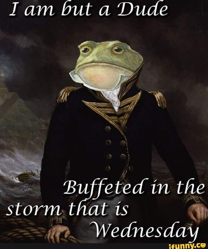 Buffeted memes. Best Collection of funny Buffeted pictures on iFunny