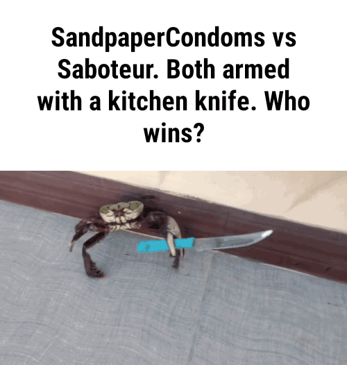 SandpaperCondoms vs Saboteur. Both armed with a kitchen knife. Who wins