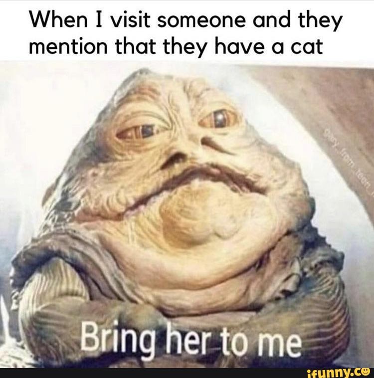 When visit someone and they mention that they have a cat
Bring her. to me