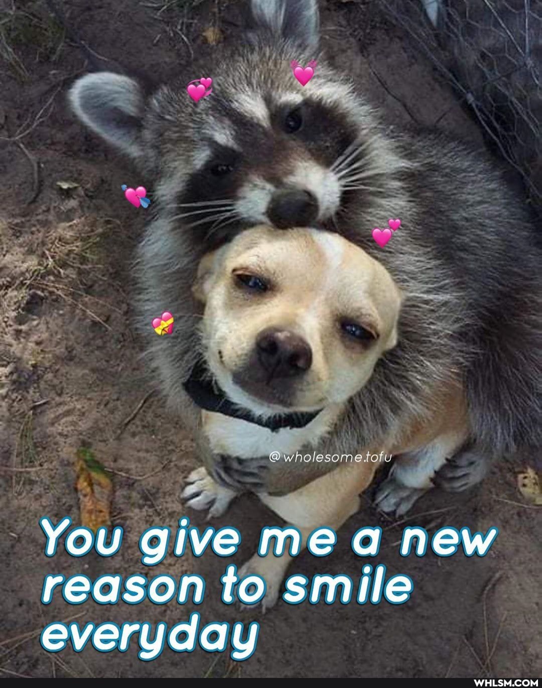 wholesome
You give me new reason to smile everyday