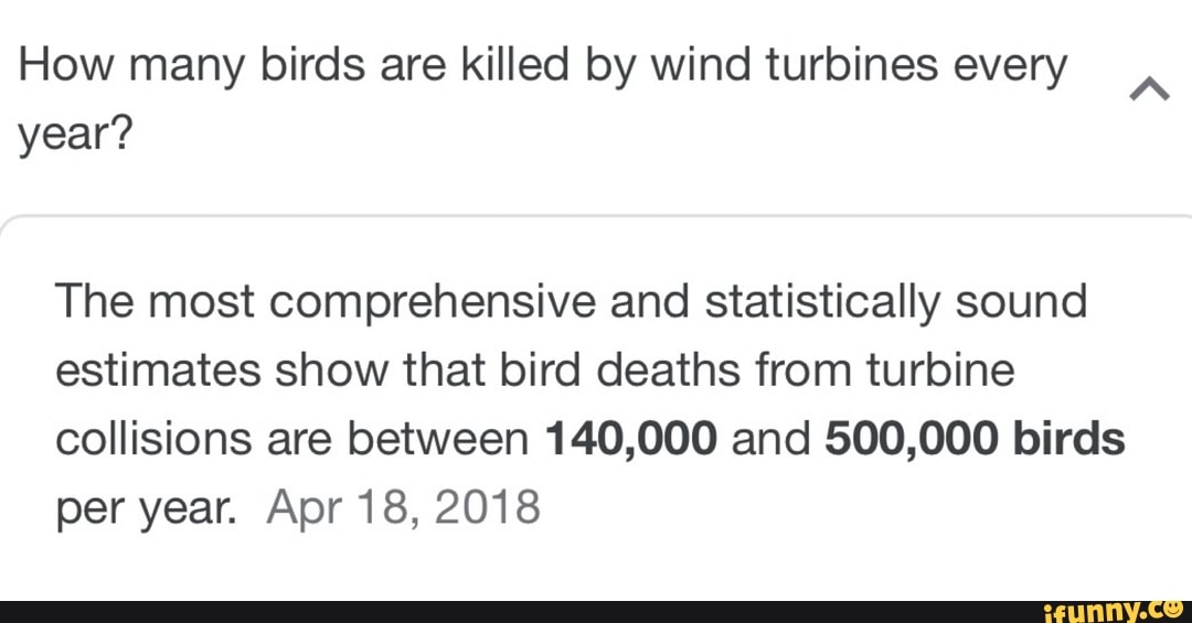 How Many Birds Are Killed By Wind Turbines Every Year? The Most ...