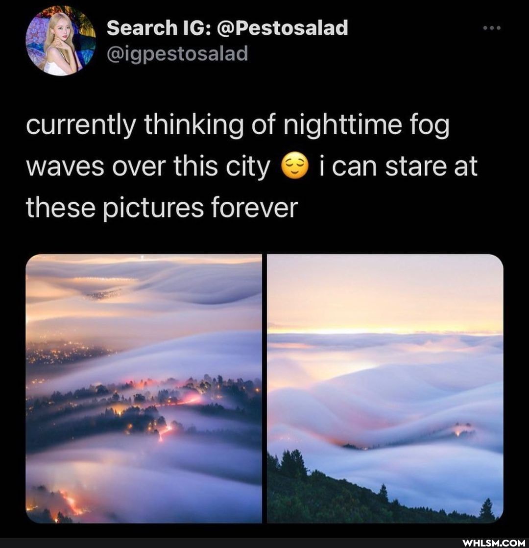 Search IG: @Pestosalad
WY @igpestosalad
currently thinking of nighttime fog waves over this city can stare at these pictures forever