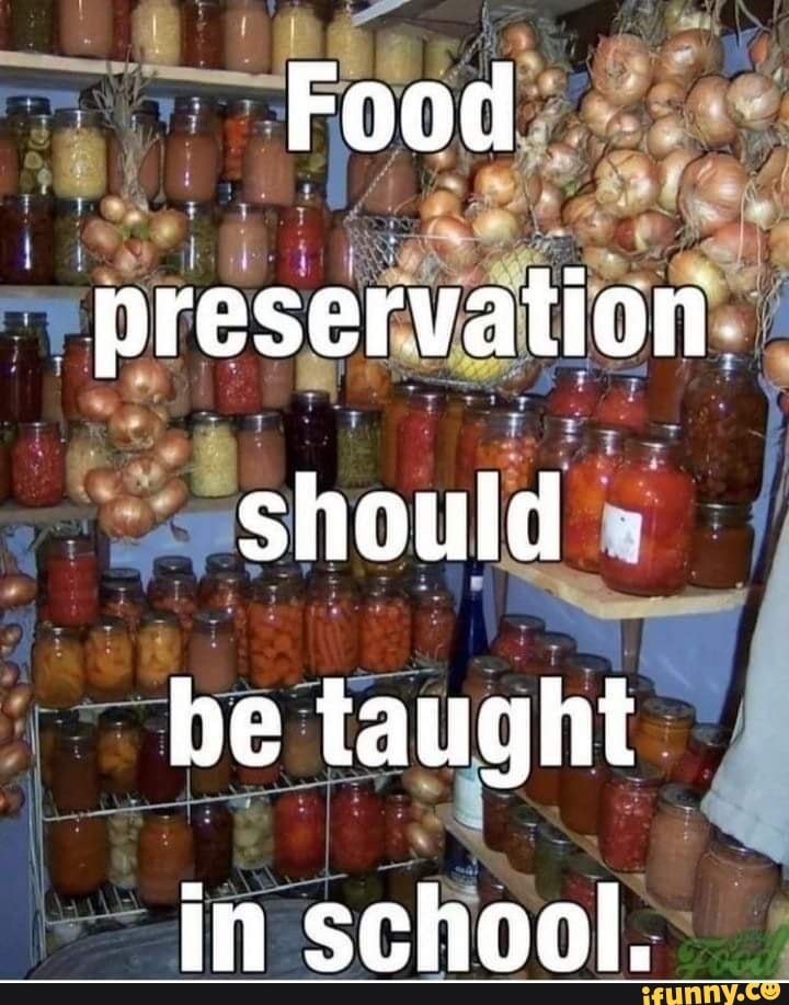 food-preservation-should-be-taught-in-school-ifunny