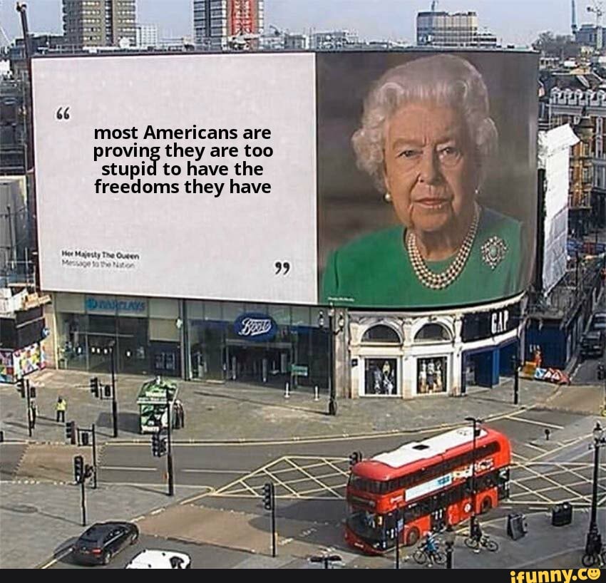 most Americans are
proving they are too stupid to have the
freedoms they have