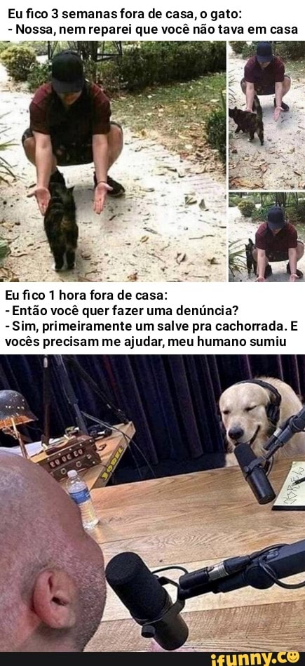 Eu fico 3 semanas fora de casa, o gato:
Nossa, nem reparei que você não tava em casa
Eu fico 1 hora fora de casa:
Então você quer fazer uma denúncia?
primeiramente um salve pra cachorrada. E